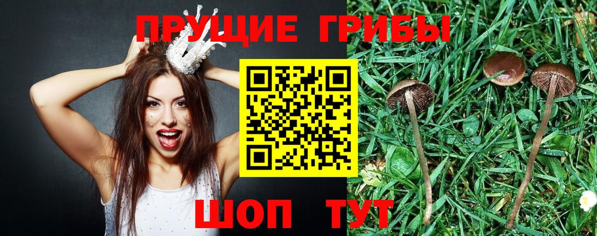 Галлюциногенные грибы Cubensis  Вход с VPN  Псилоцибиновые грибы мухоморы  где можно купить наркотик  Десногорск 