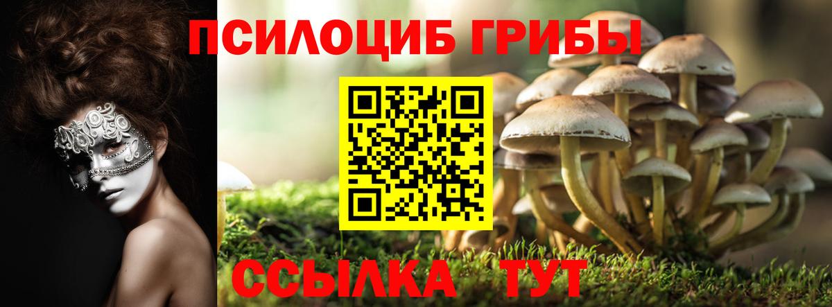 Галлюциногенные грибы мухоморы Десногорск